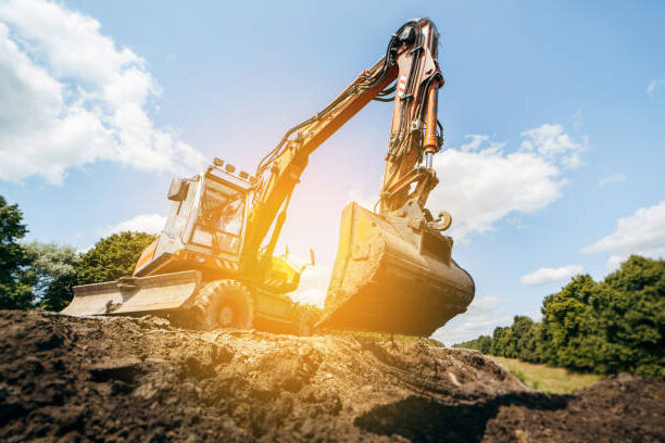 markfirma i ngelholm