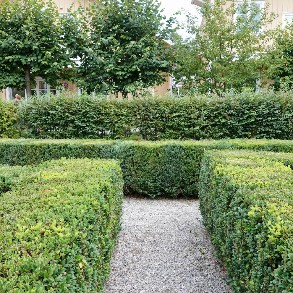 hackklippning angelholm